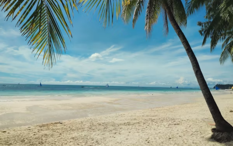 things to do in panama beach